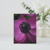 ブラックハート2花の写真はがき ポストカード (スタンド正面)