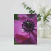 ブラックハート フラワーフォトグラフィー ポストカード (スタンド正面)