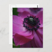 ブラックハート フラワーフォトグラフィー ポストカード (正面/裏面)