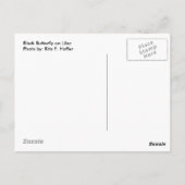 ブラックバタフライオン薄紫ポストカード ポストカード (裏面)