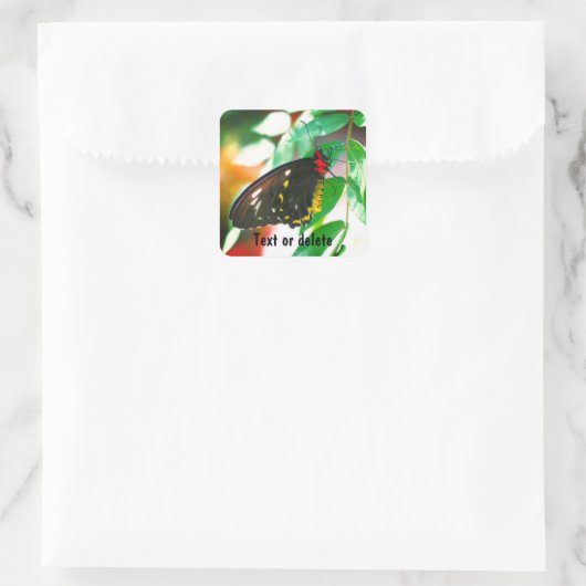 ブラックバタフライパーソナライズされた自然 スクエアシール (バッグ)