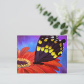 ブラックバタフライ絵画デイジーズ – 数々の ポストカード (スタンド正面)