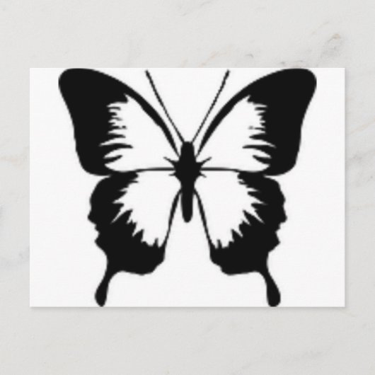 ブラックバタフライ ポストカード (正面)