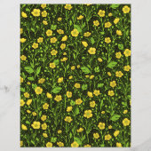 ブラックバターカップ (正面)