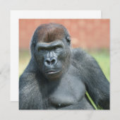 ブラックバックゴリラロペポートレート (正面/裏面)