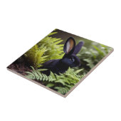 ブラックバニーのルシファー:いたずらの暗いバンドル タイル (側面)