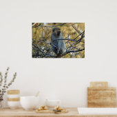 ブラックバブーン ポスター (キッチン)