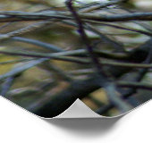 ブラックバブーン ポスター (角)