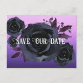 ブラックバラパープル救写真当社日付 ポストカード (正面)