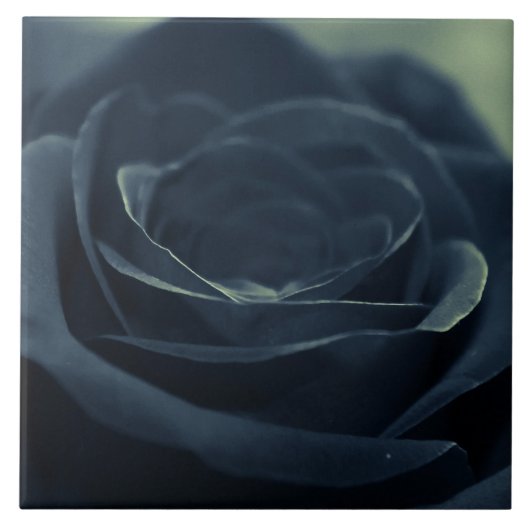 ブラックバラフラワーダークゴシック タイル (正面)