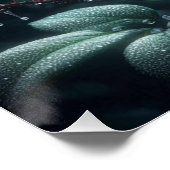 ブラックバラフローラ ポスター (コーナー)