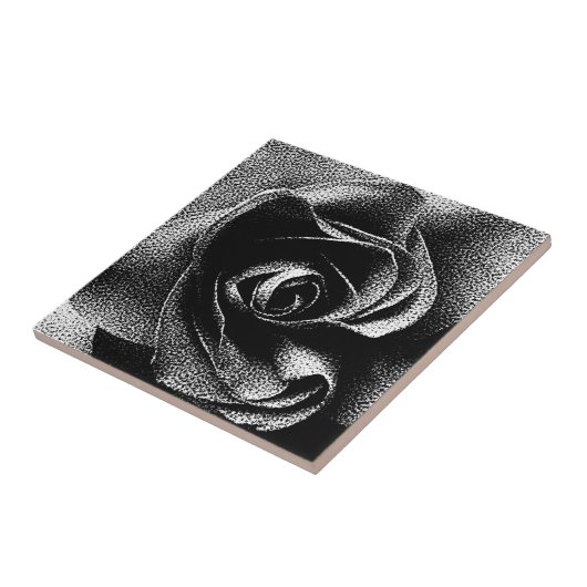 ブラックバラ タイル (側面)