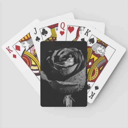 ブラックバラ トランプ (裏面)