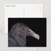 ブラックバルチャーイラストレーション ポストカード (正面/裏面)