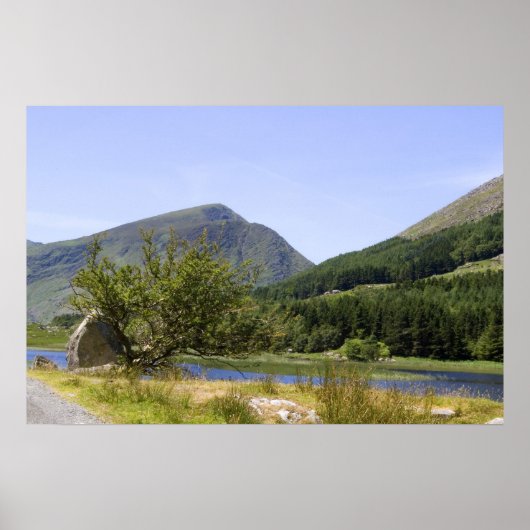 ブラックバレープリント ポスター (正面)