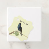 ブラックバードがブランチキャタピラーオンイエローで歌う フェイバータグ (インサイチュ)