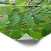 ブラックバードアンドベリープリント ポスター (角)