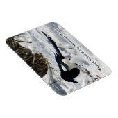 ブラックバードロッキーマウンテンのマグネット マグネット (右側)