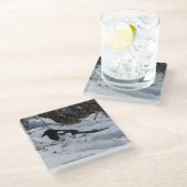 ブラックバードロッキーマウンテンマグパイガラスコースター ガラスコースター (アングル)