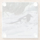 ブラックバードロッキーマウンテンマグパイガラスコースター ガラスコースター (裏面)