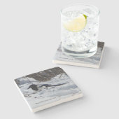 ブラックバードロッキーマウンテンマグパイ石コースター ストーンコースター (横)