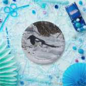 ブラックバードロッキーマウンテンマッピー紙プレート ペーパープレート (パーティー)