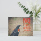 ブラックバード勇気付けられる ポストカード (スタンド正面)