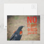 ブラックバード勇気付けられる ポストカード (正面/裏面)