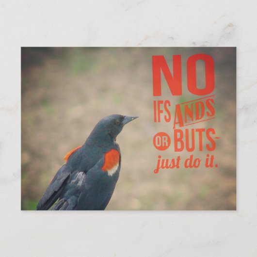 ブラックバード勇気付けられる ポストカード (正面)