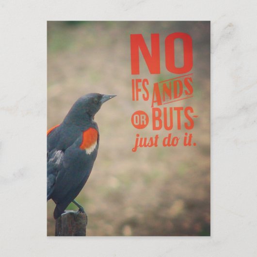 ブラックバード勇気付けられる ポストカード (正面)