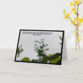 ブラックバード引用文 カード (黄色い花)