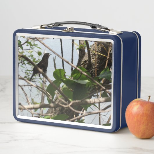 ブラックバード歌唱金弁当箱 メタルランチボックス (インサイチュ)