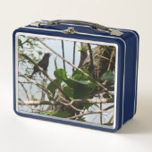 ブラックバード歌唱金弁当箱 メタルランチボックス (正面)