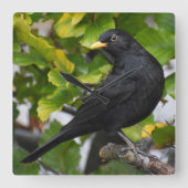 ブラックバード スクエア壁時計 (正面)