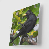 ブラックバード スクエア壁時計 (傾斜)