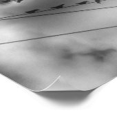 ブラックバード ポスター (角)