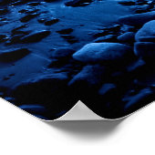 ブラックバード ポスター (角)