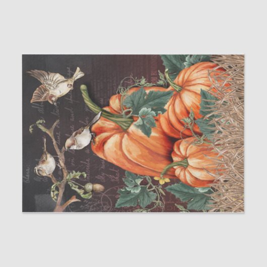 ブラックバード 薄葉紙 (正面)