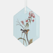 ブラックバーニアンワルブラーヴィンテージオードボンソンバードアート ガラスオーナメント (正面左)