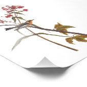 ブラックバーニアンワルブラーヴィンテージオードボンソンバードアート フォトプリント            (角)