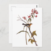 ブラックバーニアンワルブラーヴィンテージオードボンソンバードアート ポストカード (正面/裏面)