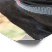 ブラックパグのポスター ポスター (角)