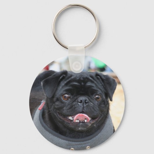 ブラックパグ犬 キーホルダー (正面)