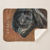 ブラックパグ犬 シェルパブランケット (正面(横))