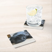 ブラックパグ フラット スクエアペーパーコースター (インサイチュ)