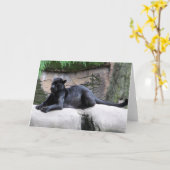 ブラックパンサーのメッセージカード カード (黄色い花)