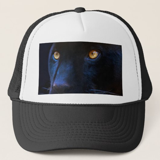 ブラックパンサーの目 キャップ (正面)
