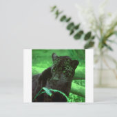 ブラックパンサージャカールオングリーン ポストカード (スタンド正面)