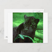 ブラックパンサージャカールオングリーン ポストカード (正面/裏面)