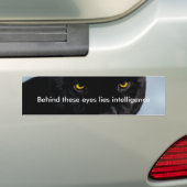 ブラックパンサーパンテラ バンパーステッカー (車上)